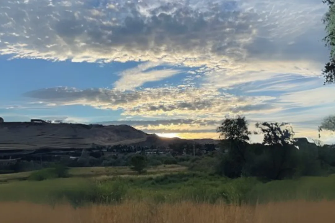 Exploring Confluence State Park? Add a Jet Boat Ride to Your Day in Wenatchee 3 Horan Natural Area’s wetlands