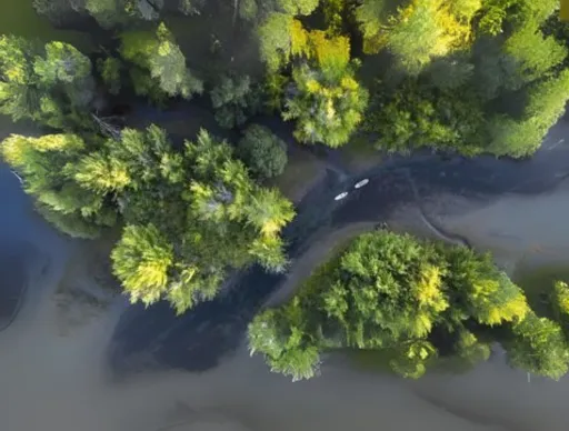 Nature Lovers Visiting Horan Natural Area Will Love This Scenic Columbia River Ride 4 Learning & Discovery