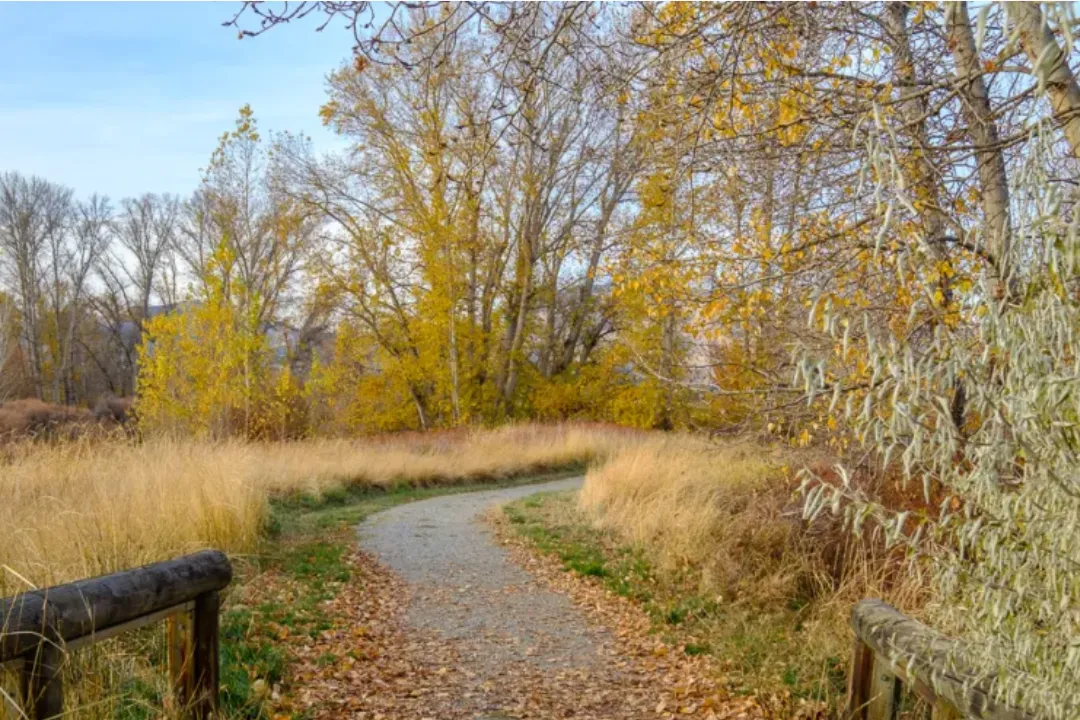 Nature Lovers Visiting Horan Natural Area Will Love This Scenic Columbia River Ride 1 Morning view from Horan Natural Area Wenatchee