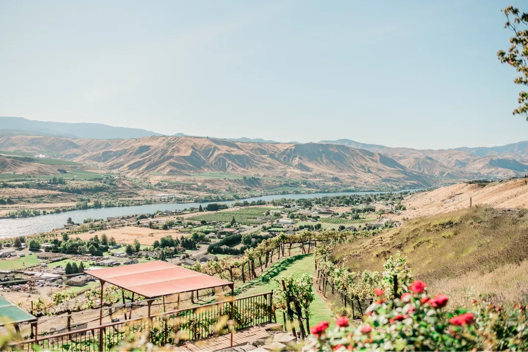Why Circle 5 Winery Wenatchee Is a Must-Visit